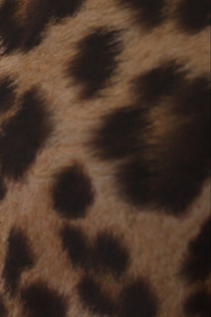 Рубашка 4009 леопардовый Abbi