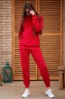 Спортивный костюм f3000-11-02 красный GO wear