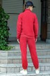 Спортивный костюм f3003-11-02 красный GO wear