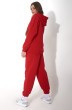 Спортивный костюм f3023-11-02 красный GO wear