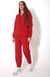Спортивный костюм f3023-11-02 красный GO wear