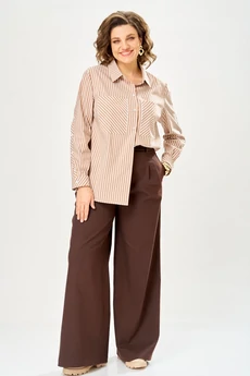 Брюки 2033-26 коричневый ANDINA CITY