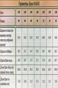 Брюки 9043 голубой ARISHA