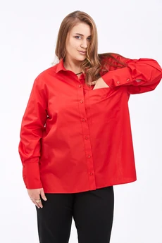 Рубашка 0301-12 AVENUEfashion