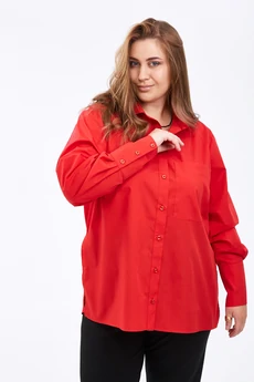 Рубашка 0301-12 AVENUEfashion