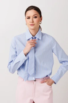 Рубашка+галстук 1019 голубой ERTANNO