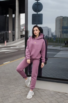 Спортивный костюм 002 ФС слива Faldas