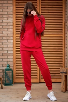 Спортивный костюм f3000-11-02 красный GO wear