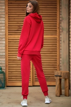 Спортивный костюм f3000-11-02 красный GO wear
