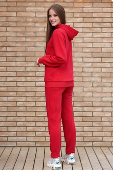 Спортивный костюм f3030-11-02 красный GO wear