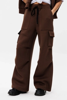 Брюки f2095-23-03 коричневый GO wear