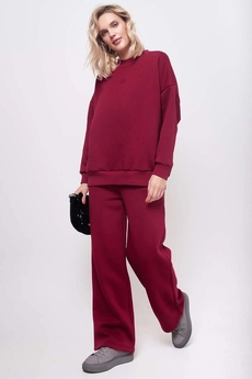 Спортивный костюм f3022-10-12-01 вишня GO wear