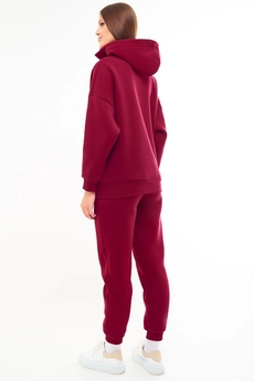 Спортивный костюм f3034-12-01 вишня GO wear