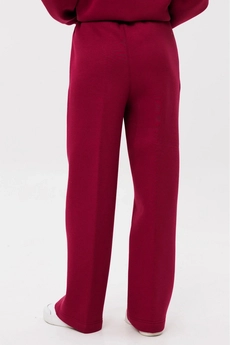 Спортивный костюм f3085-12-01 вишня GO wear