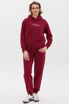 Спортивный костюм f3100а-12-01 вишня GO wear