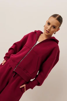 Спортивный костюм f3101-12-01 вишня GO wear