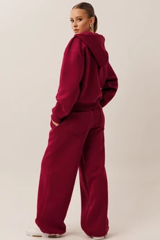 Спортивный костюм f3101-12-01 вишня GO wear