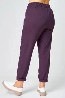 Брюки 3341 фиолетовый Gratto