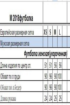 Футболка 2018 черный HIT