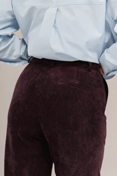 Брюки 2657 JRSy