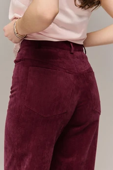 Брюки 2659 JRSy