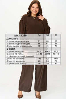 Костюм брючный 11250 коричневый SOVA