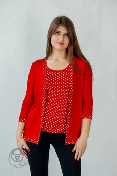 Кардиган+блузка 1625201 красный Teyli
