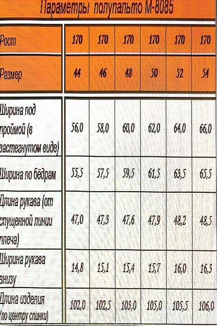 Полупальто 8085 черно-серый ARISHA