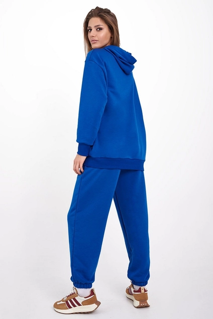 Спортивный костюм f3042-19-02 василек GO wear