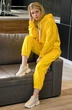 Спортивный костюм 3011 желтый GO wear