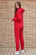 Спортивный костюм f3030-11-02 красный GO wear