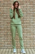 Спортивный костюм f3030-26-02 фисташка GO wear