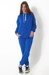 Спортивный костюм f3031-19-02 василек GO wear