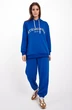 Спортивный костюм f3042-19-02 василек GO wear