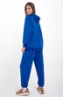 Спортивный костюм f3042-19-02 василек GO wear