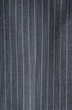 Костюм с шортами 4432 серая полоска Pirs