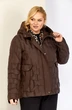 Куртка 2210 шоколад Shetti фото 4