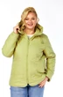 Куртка 2211 фисташковый Shetti фото 4
